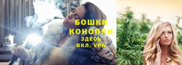 дурь Арсеньев