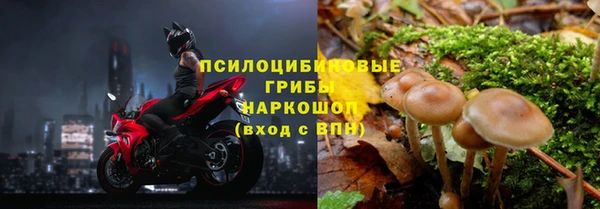 прущие крисы Армянск