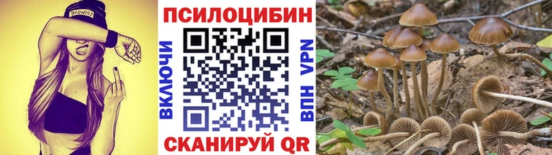 Псилоцибиновые грибы MAGIC MUSHROOMS Чадан